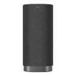 TCL Z100 Wireless Free Sound Speaker 170W - Metal