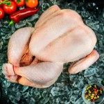 Fresh Dressed Full Chicken Broiler 2.5kg