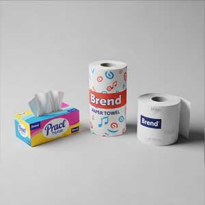 Tissue & Paper Towel